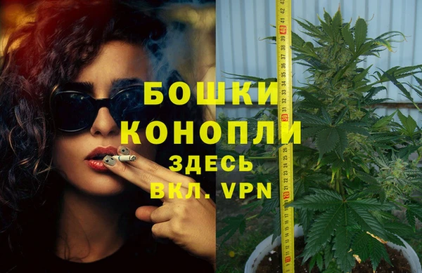 круглые Белокуриха