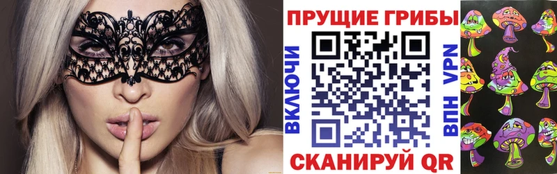 дарк нет как зайти  сколько стоит  Козельск  Галлюциногенные грибы Magic Shrooms 